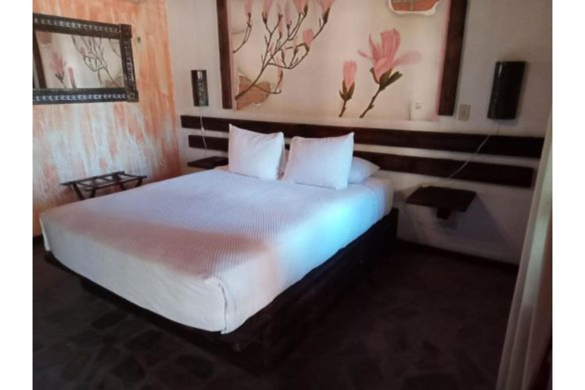 Hotel Boutique Posada De Las Flores Loreto מראה חיצוני תמונה